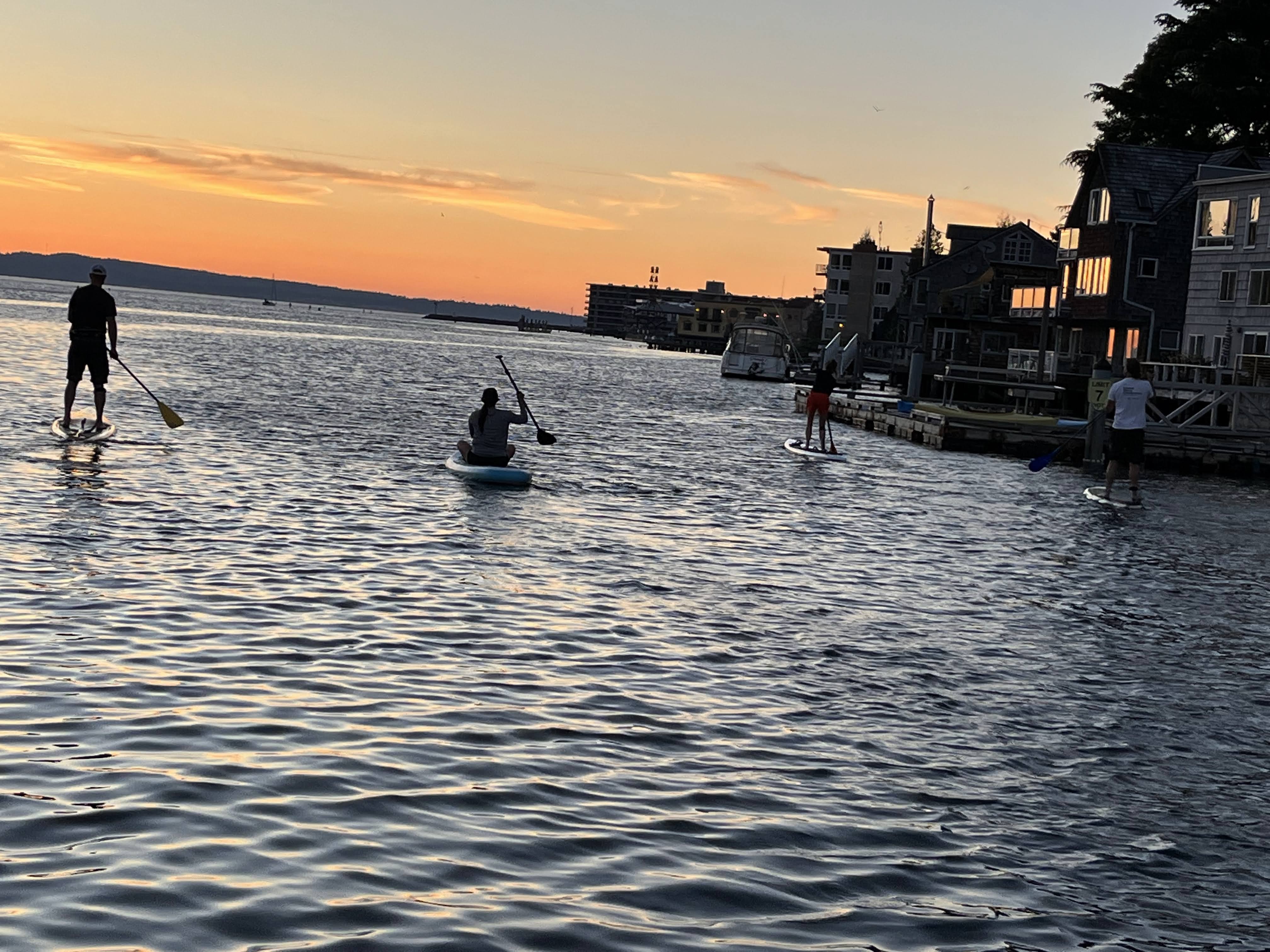 Paddle boarders paddling in Puget Sound at sunset.