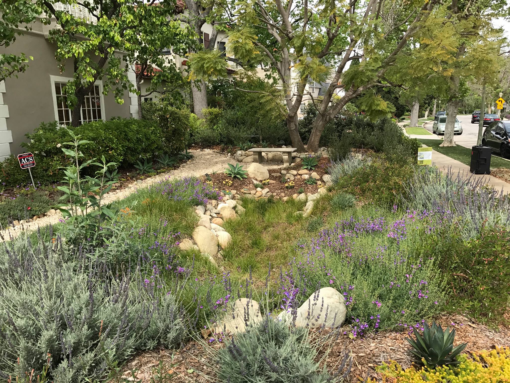 Ocean friendly garden in front of home