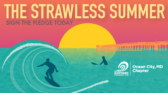 Colorful Poster of surfing and the sun on the horizon saying straw-less summer.
