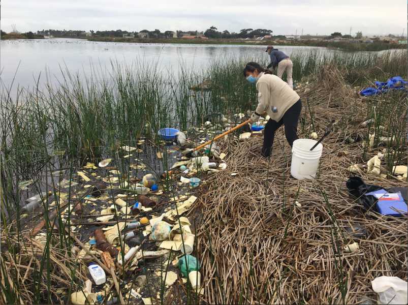 A photo of a volunteer sifting through mangled greenery and trash. 