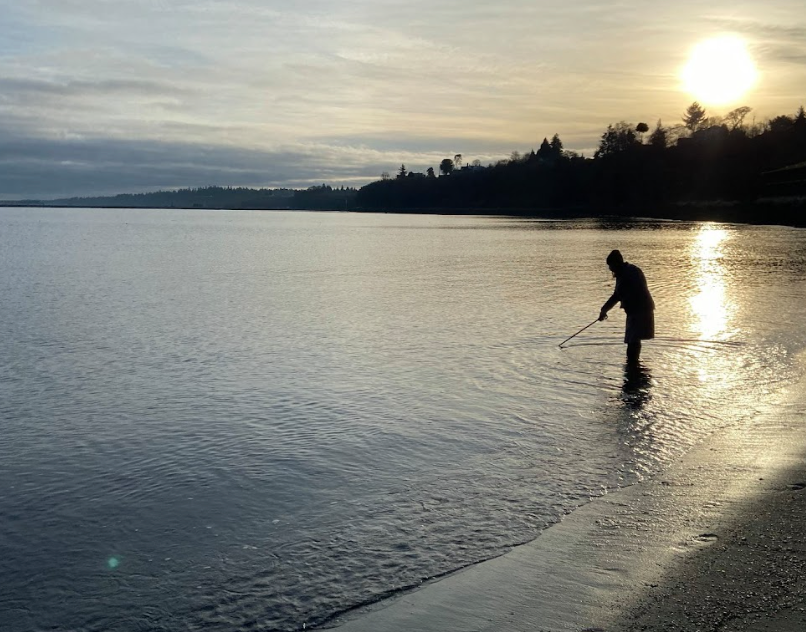 A silhouette of a volunteer standing in shallow water at sunset using a pole to collect a water sample