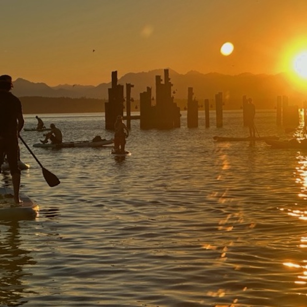 A sunset silhouette of paddle boarders and pilings 