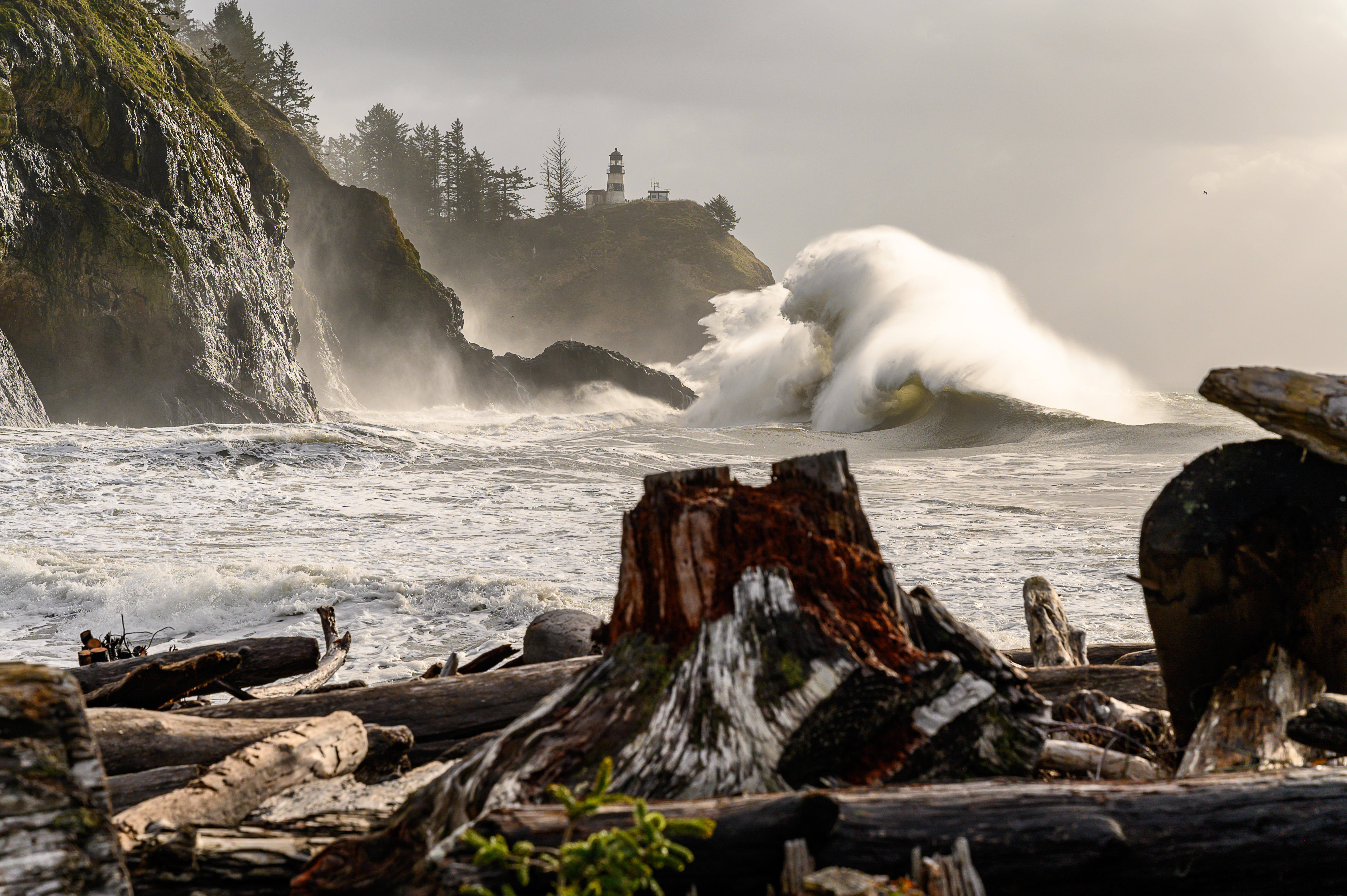 A huge wave crashes on a rocky cliff in the background, with driftwood in the foreground