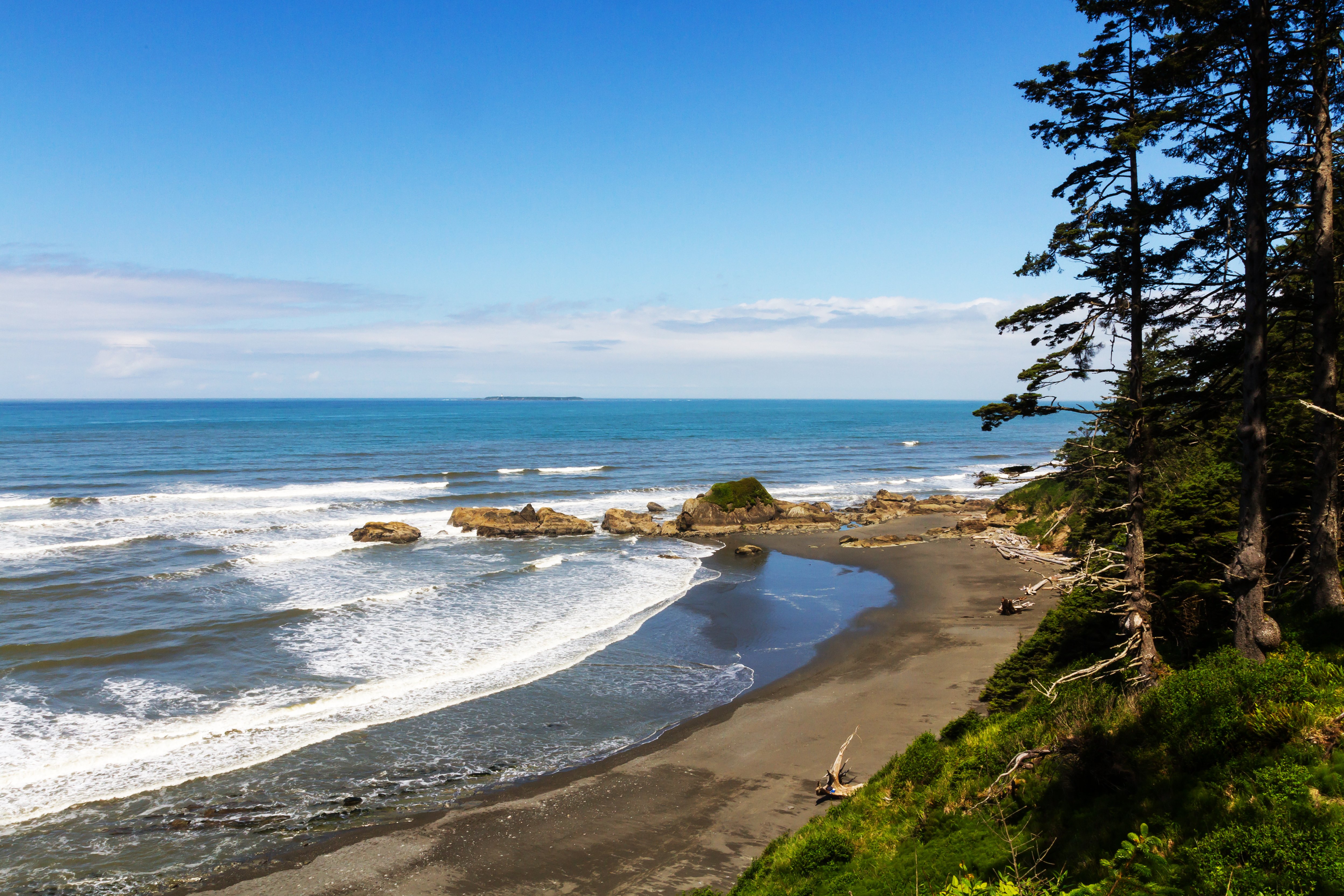A sunny coastal view of a beach with waves breaking near shoreline pine trees