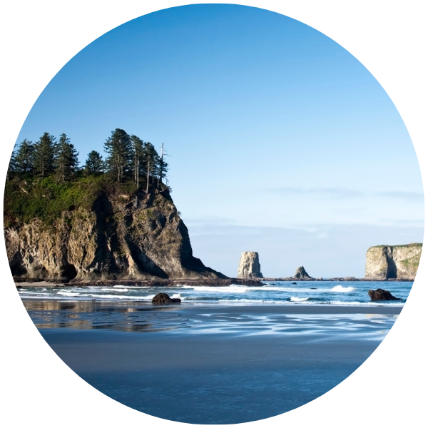 A sunny day on an Olympic Coast beach, with pine topped rocks just offshore