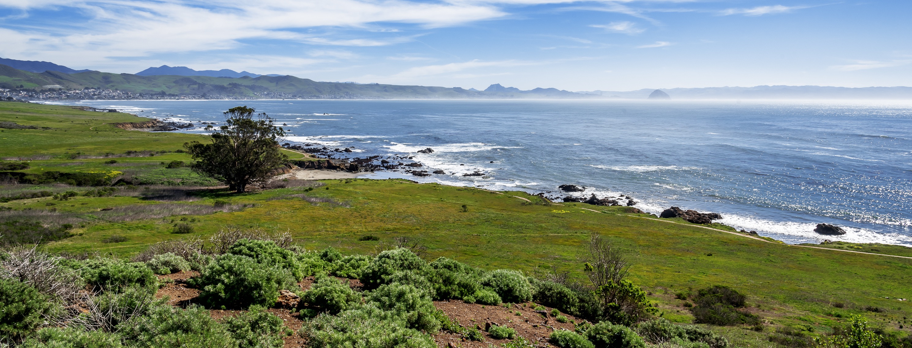 Image from a hill with coastal vegetation overlooking the rock coastline that stretches many miles. Near the edge of the shoreline, there is a coastal trail. 