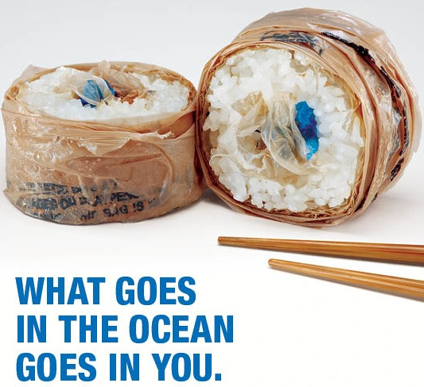 Plastic wrap saves your sandwich but pollutes the planet. Is there a better  solution?