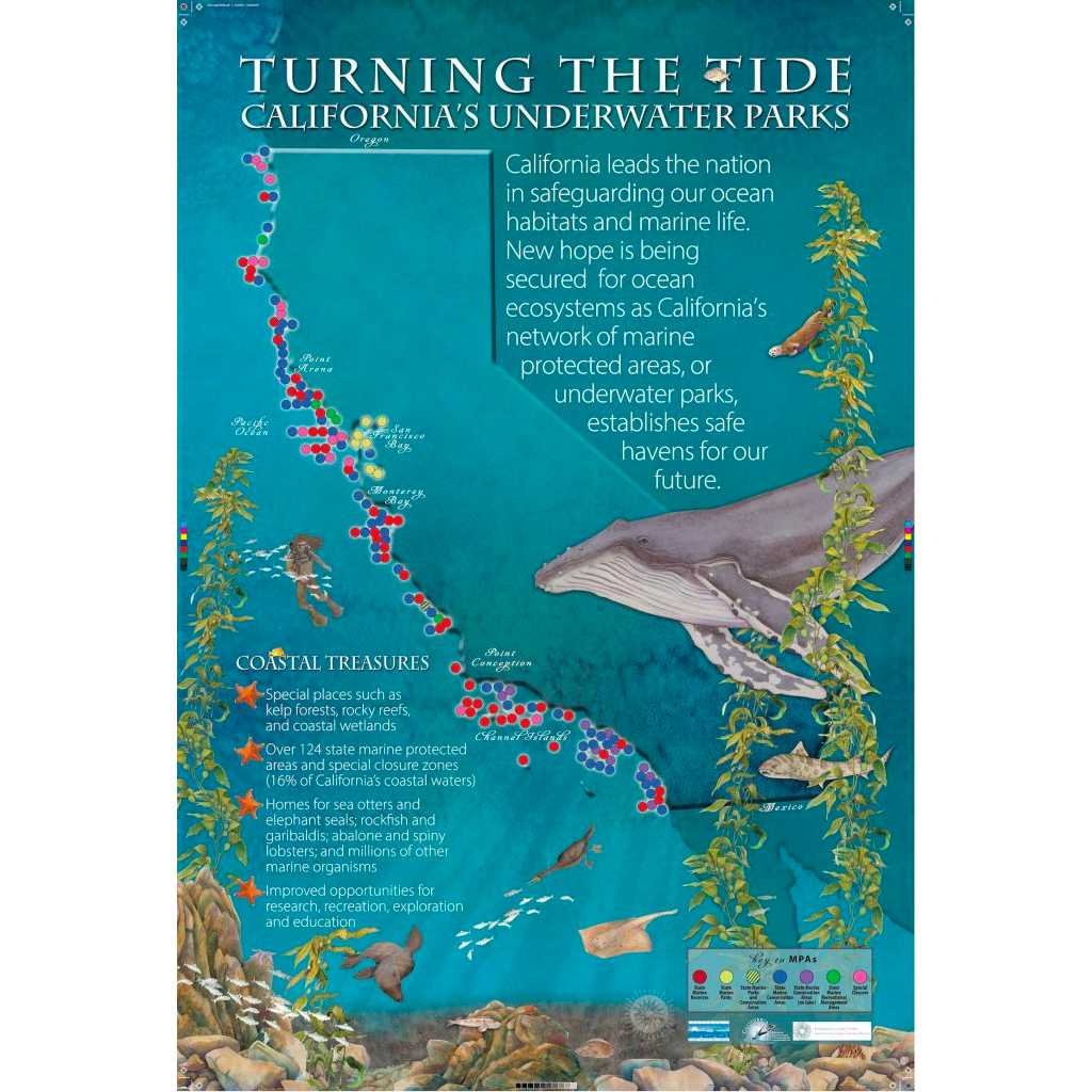 Marine Protected Areas (MPAs): behind the scenes