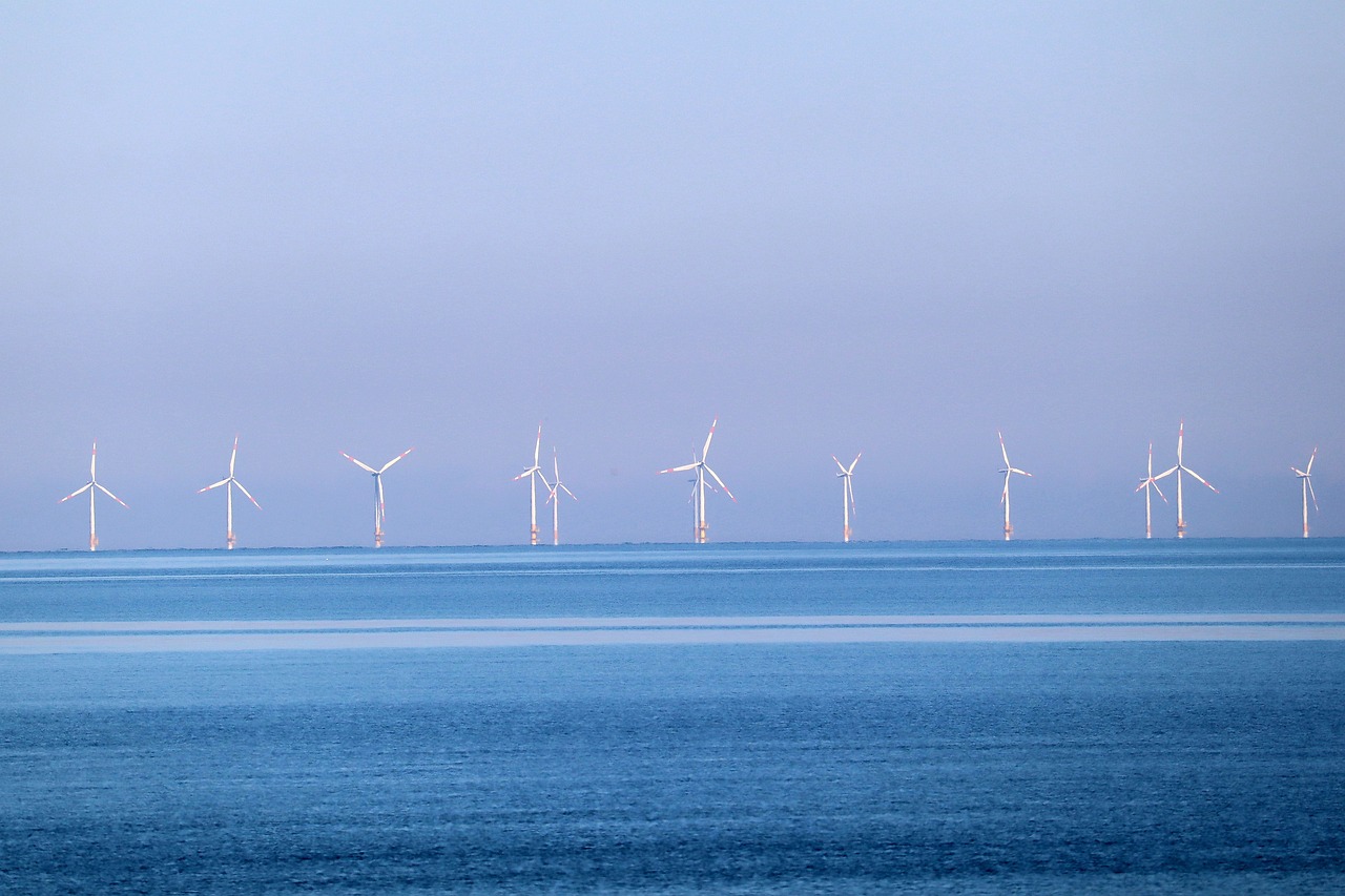 Support California Natural Resource Agencies in Preparing for Offshore Wind
